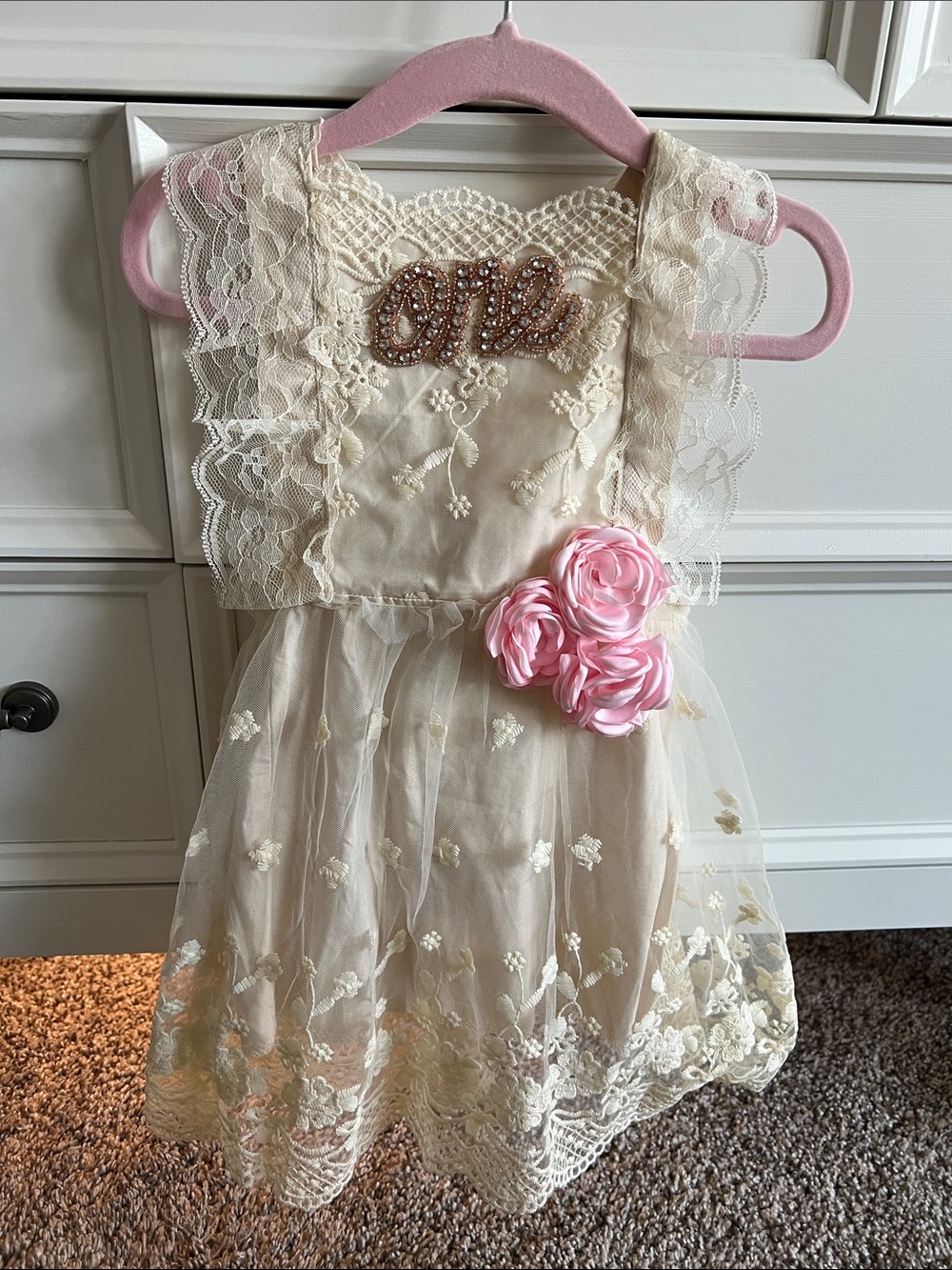 Ivory Lace Floral Tulle Dress with Pink Rosettes